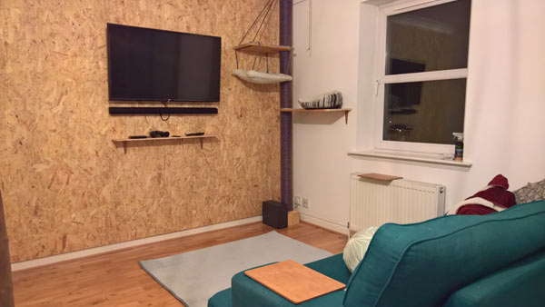 osb feature wall idea for living room