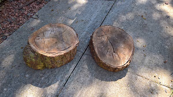 log slices for homemade garden stool
